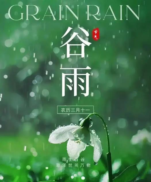 2025谷雨